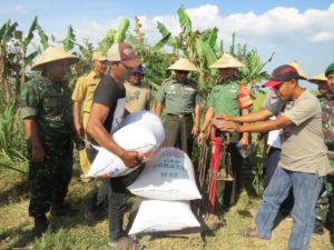 TIM SERGAP MABES AD TURUN LANGSUNG KELAHAN PETANI DI  JOMBANG-1