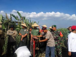 TIM SERGAP MABES AD TURUN LANGSUNG KELAHAN PETANI DI  JOMBANG-5