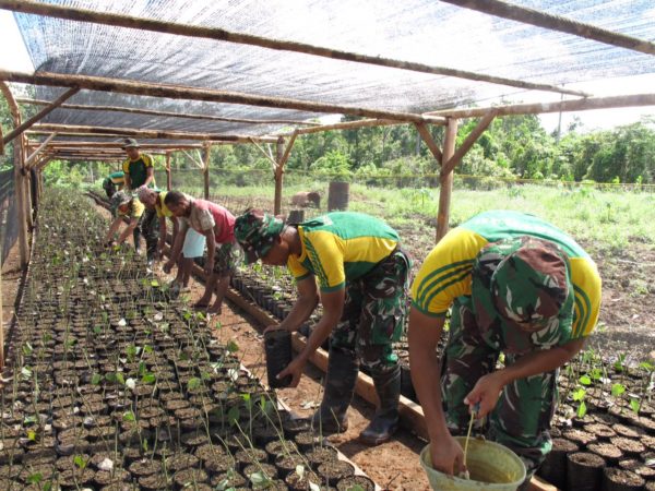 34-yonif-para-raider-330-kostrad-prakasai-budidaya-tanaman-pala-11-10-16-1