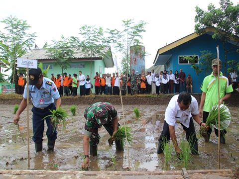 percepatan-tanam-diwilayah-kecamatan-padamara-1