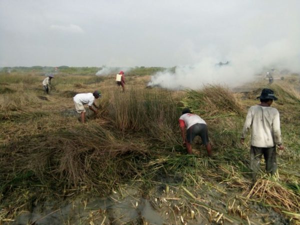 1-babinsa-kamal-bangkalan-bantu-petani-menyiapkan-lahan-bubidaya-ikan-b