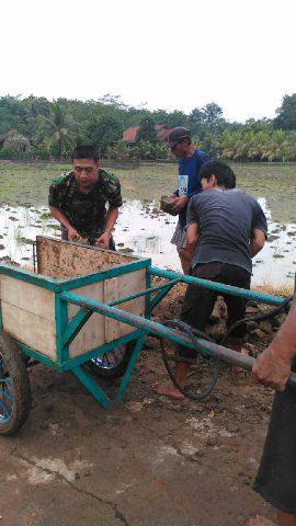 babinsa-bersama-warga-kerja-bakti-pengerasan-jalan-4