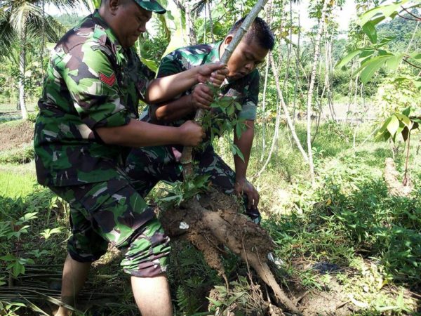 kebersamaan-babinsa-memberikan-motivasi-para-petani-2