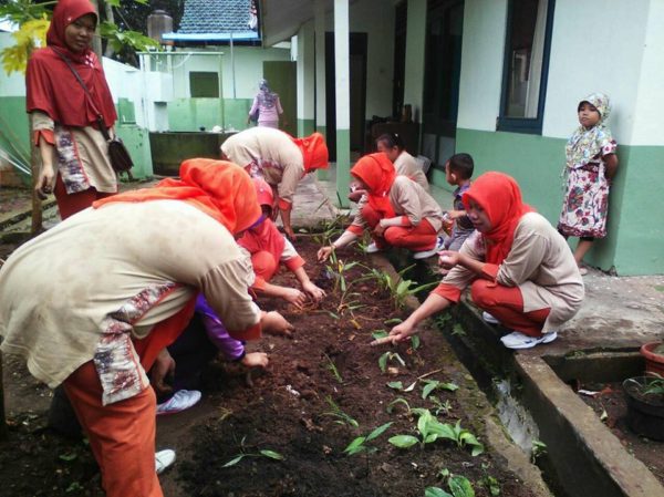 persit-ranting-05-binangun-manfaatkan-lahan-kosong-untuk-apotek-hidup-2